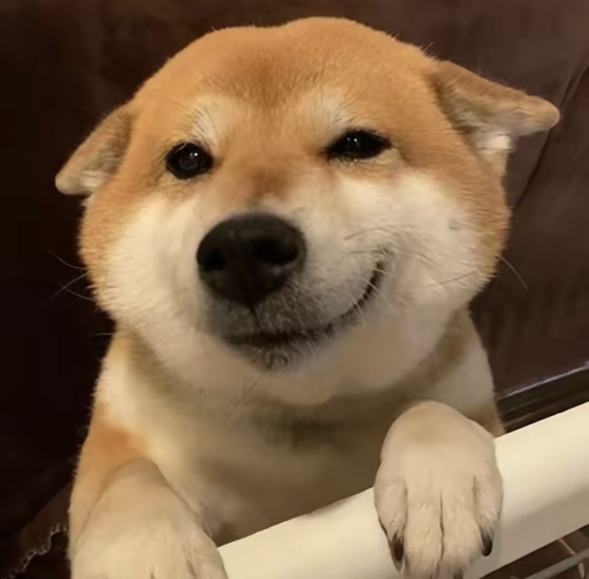博客